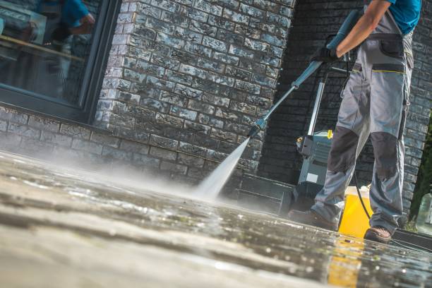 Best Gutter Cleaning  in Guntersville, AL
