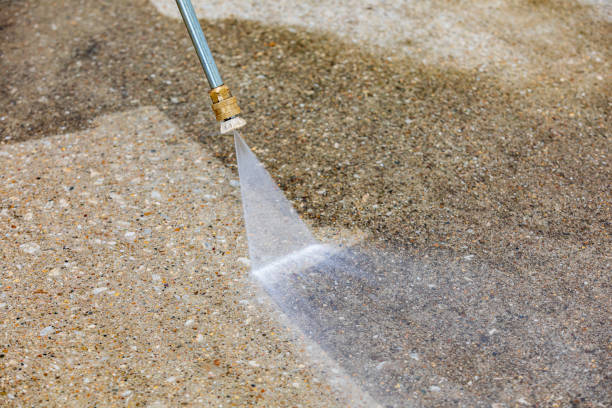 Trusted Guntersville, AL Pressure Washing Services Experts